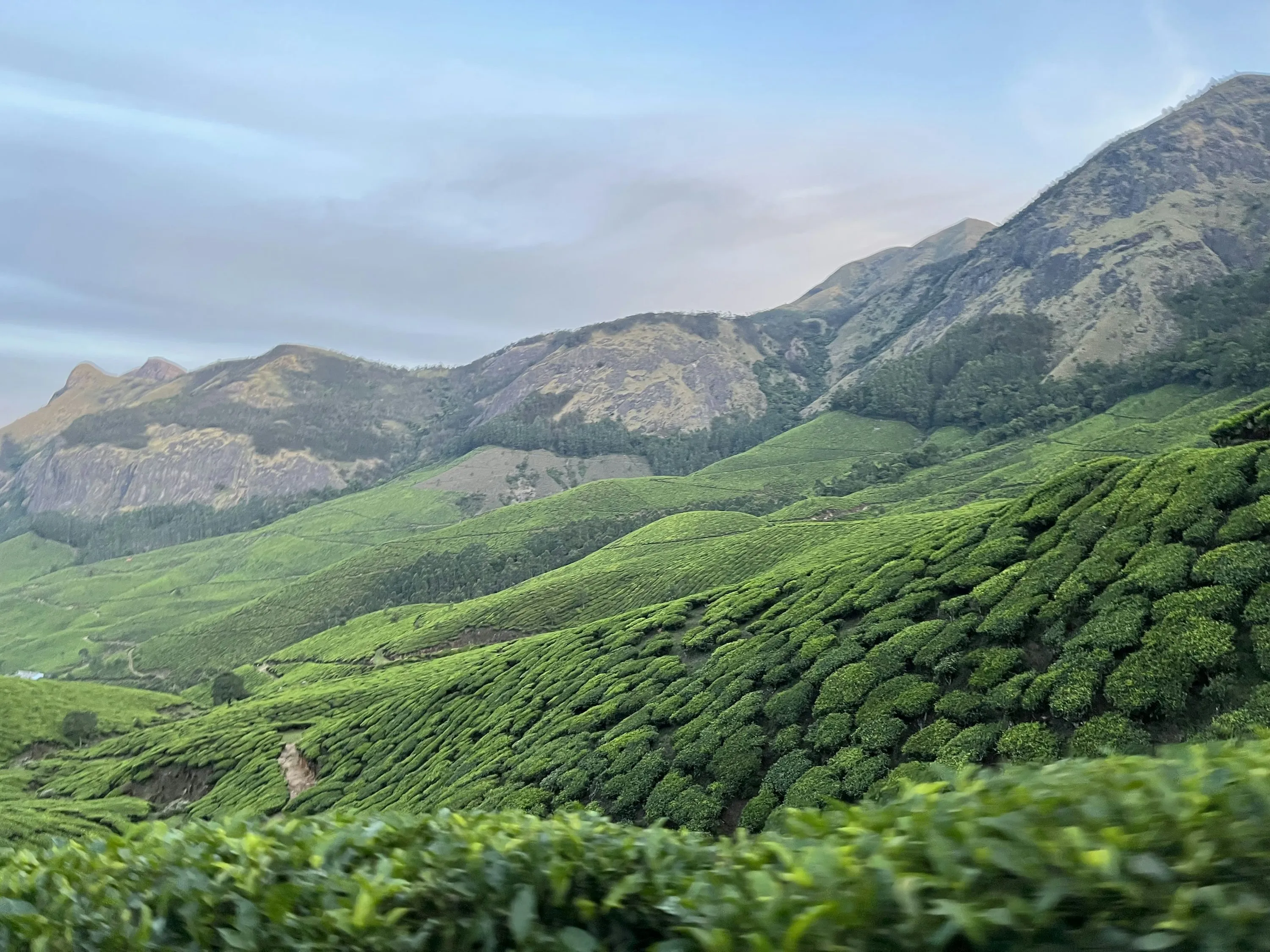 云南茶山全景风光 - 黑料网